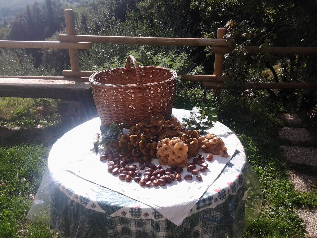 Bed And Breakfast Al Posto Bello Перуджа Екстериор снимка